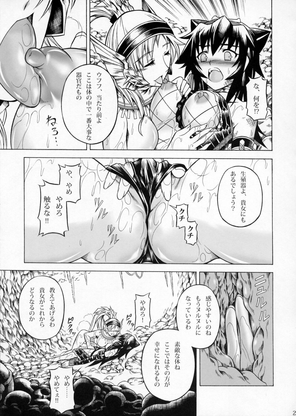 (C79) [Yokohama Junky (Makari Tohru)] Solo Hunter no Seitai 2 The second part (Monster Hunter) page 20 full