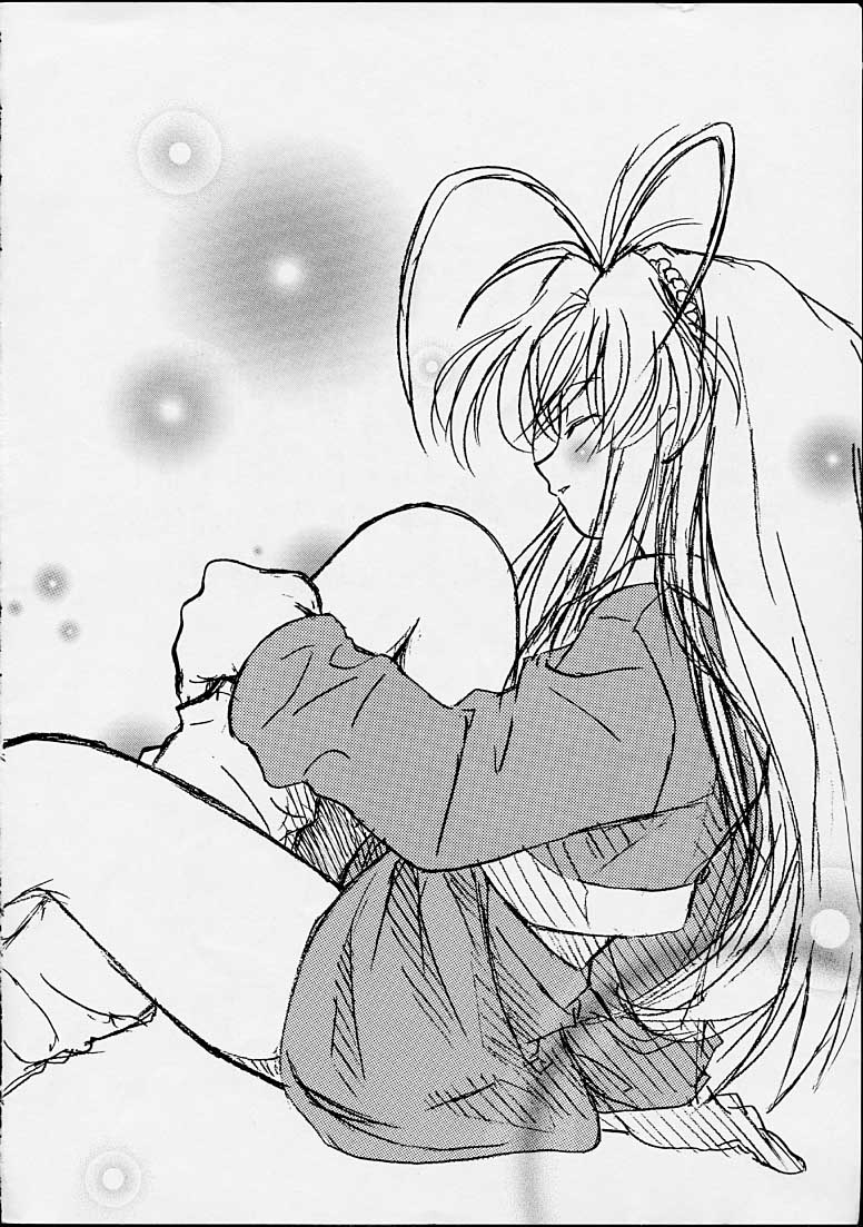 (C55) [Riroland (Kuuya,  Satomi Hiroyuki)] Chanto Chanto no Rinshan Kaihou! (Mamotte Shugogetten, Sorcerous Stabber Orphen) page 3 full