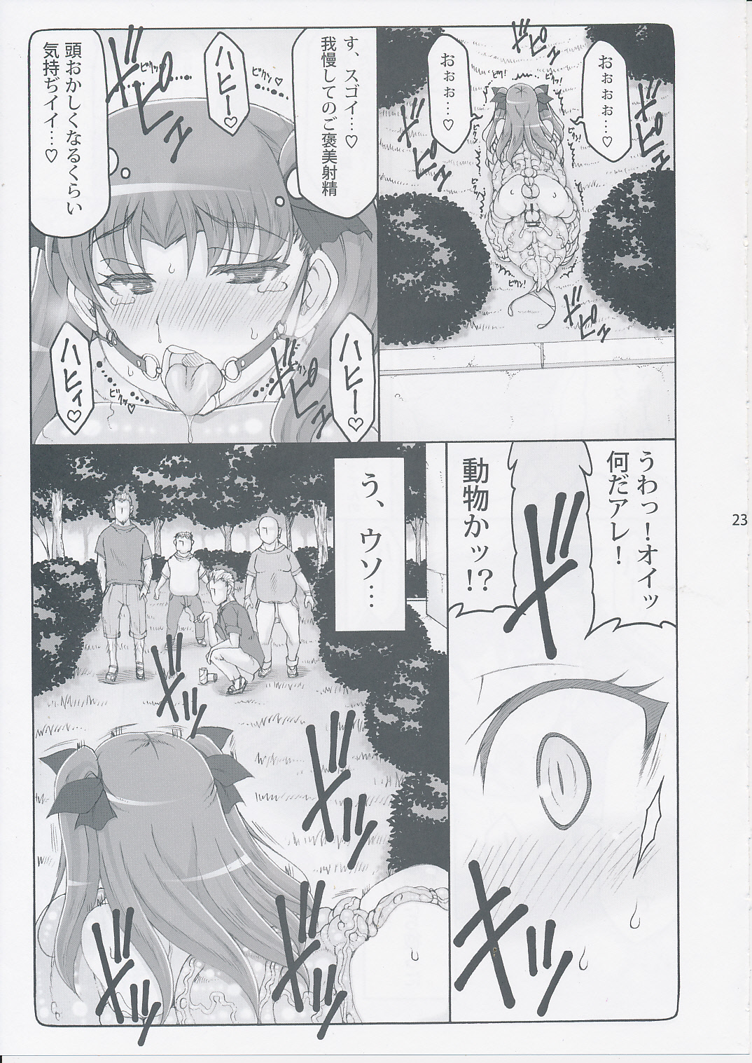 (C87) [Abarenbow Tengu (Izumi Yuujiro)] Kotori 11 (Fate/stay night) page 22 full