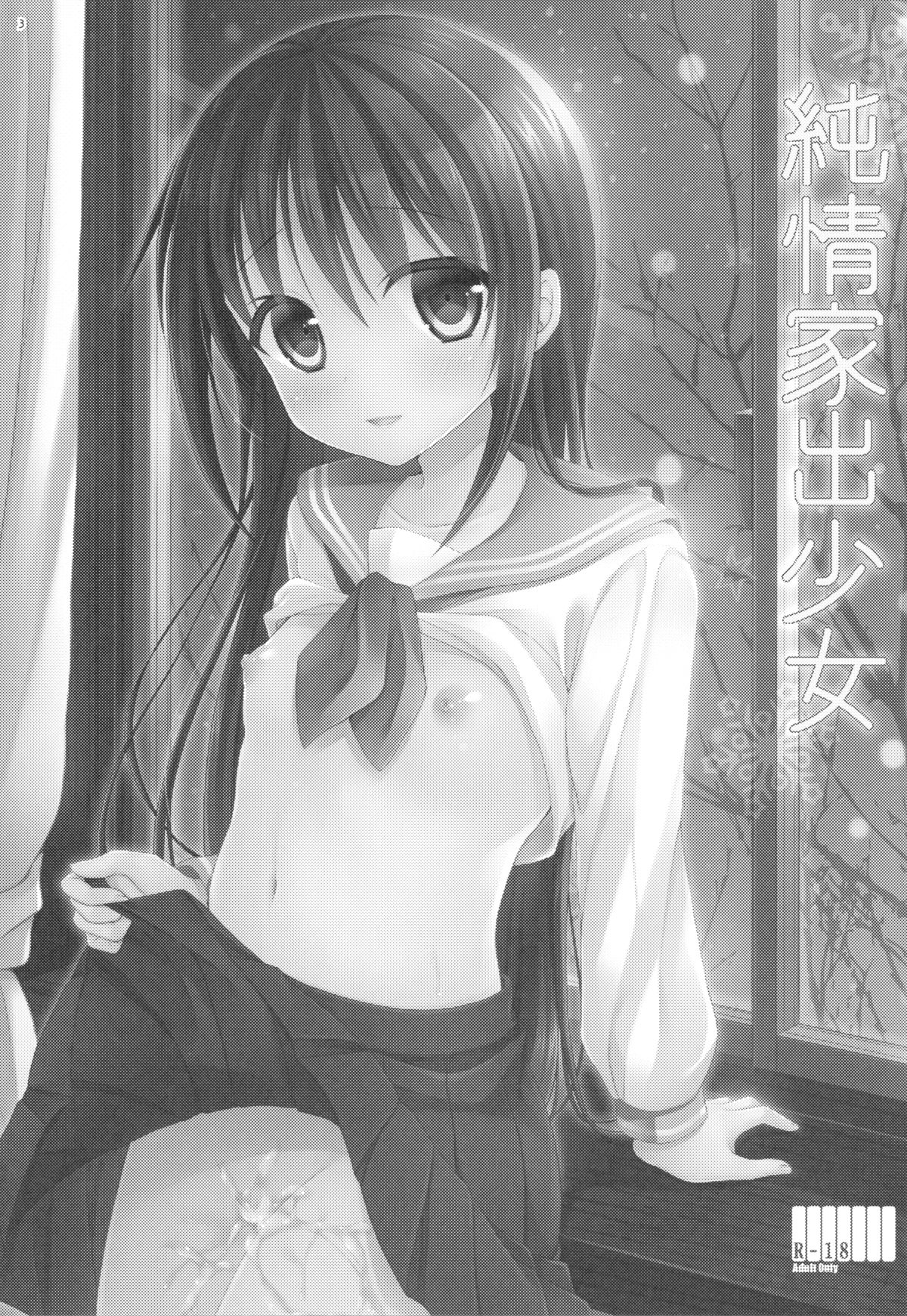 (C89) [Tamakakeya (Tamakake)] Junjou Iede Shoujo [Chinese] [CE家族社] page 3 full