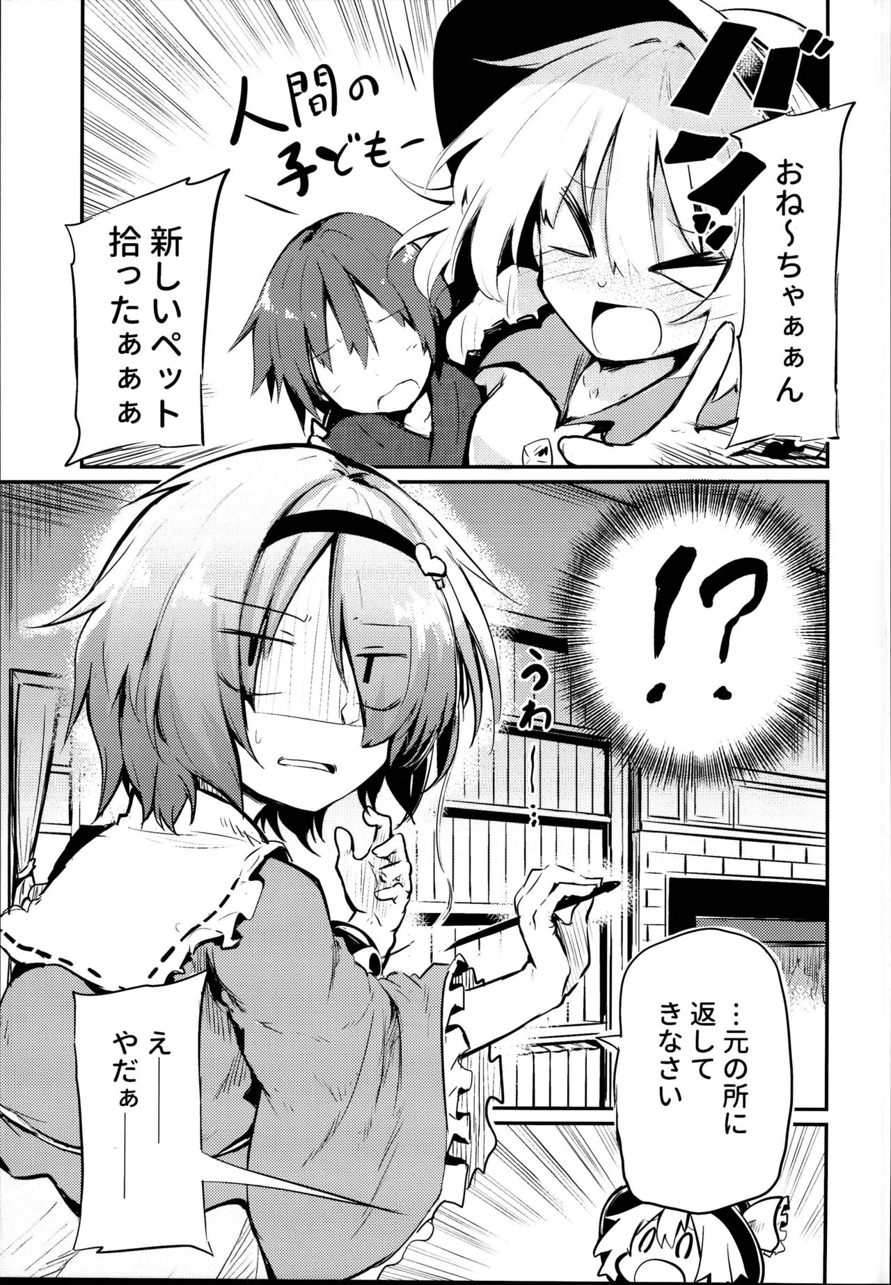 (C95) [Arutana (Chipa)] Shikata no Nai Ko desu nee to Iinagara Iresasete Kureru Satori Onee-chan (Touhou Project) page 5 full