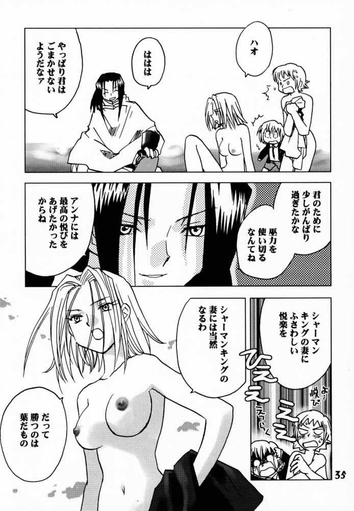 (CR28) [Megaplus (Okano Ahiru)] Shaman Queen (Shaman King) page 34 full