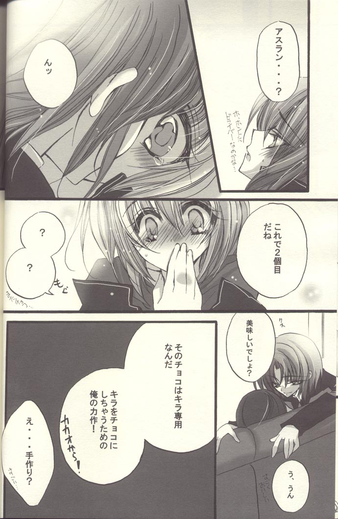 [RIRIADOLL (Takewaka Maru)] Chocolate Time (Mobile Suit Gundam Seed Destiny) page 25 full