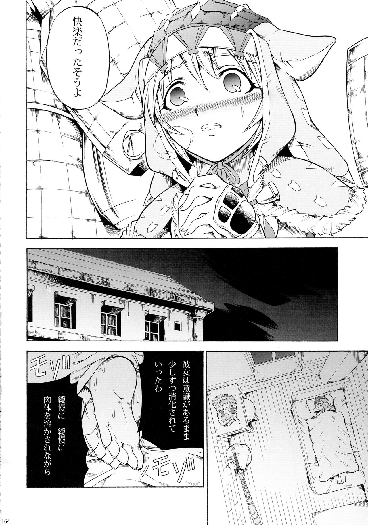 (C90) [Yokohama Junky (Makari Tohru)] Solo Hunter-tachi no Seitai (Monster Hunter) page 164 full