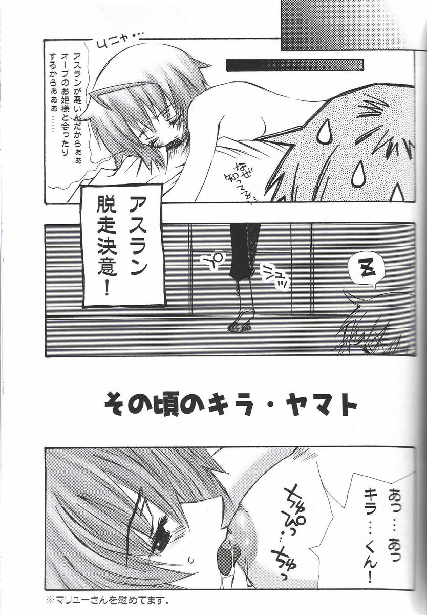 (C68) [C.Bjim (Togawa Hanamaru)] SPACE PINKISH (Mobile Suit Gundam SEED DESTINY) page 28 full