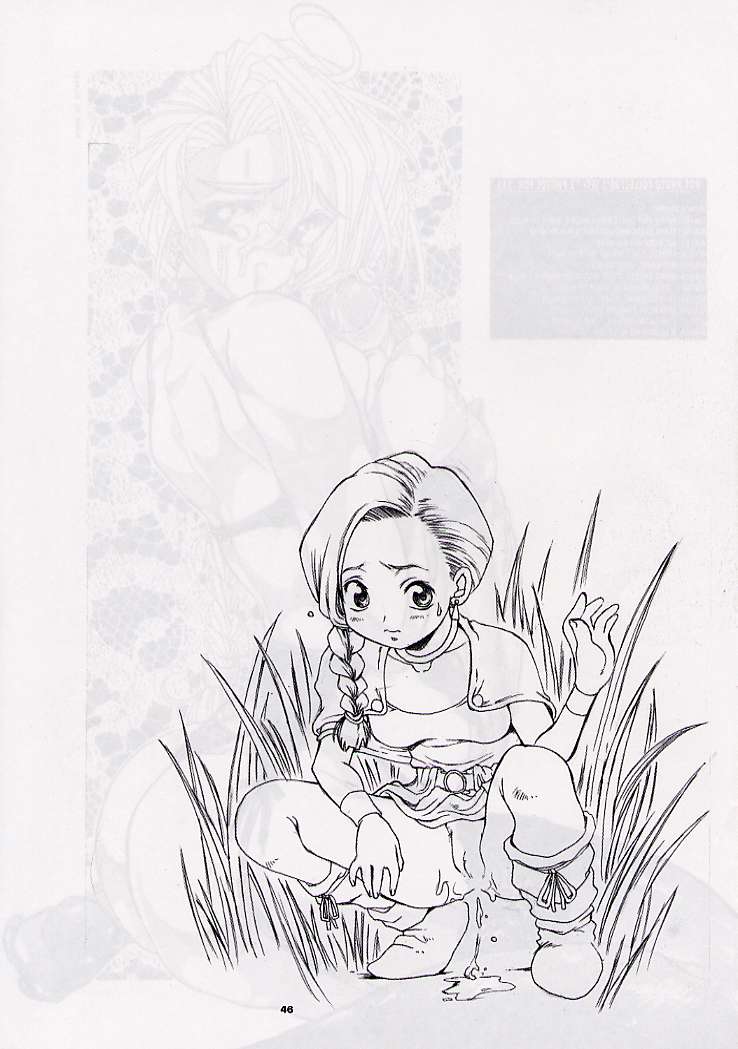 (C57) [GADGET (Various)] DRAGONQUEST nirvana (Dragon Quest) page 45 full