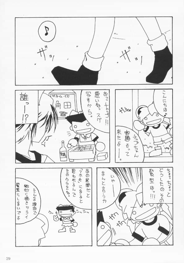 (C68) [AKKAN-Bi PROJECT (Yanagi Hirohiko)] RED BRAVO (Mobile Suit Gundam Seed Destiny) page 28 full
