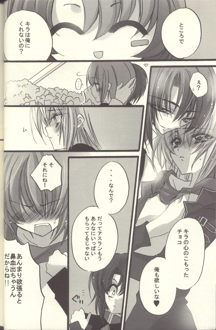 [RIRIADOLL (Takewaka Maru)] Chocolate Time (Mobile Suit Gundam Seed Destiny) page 17 full