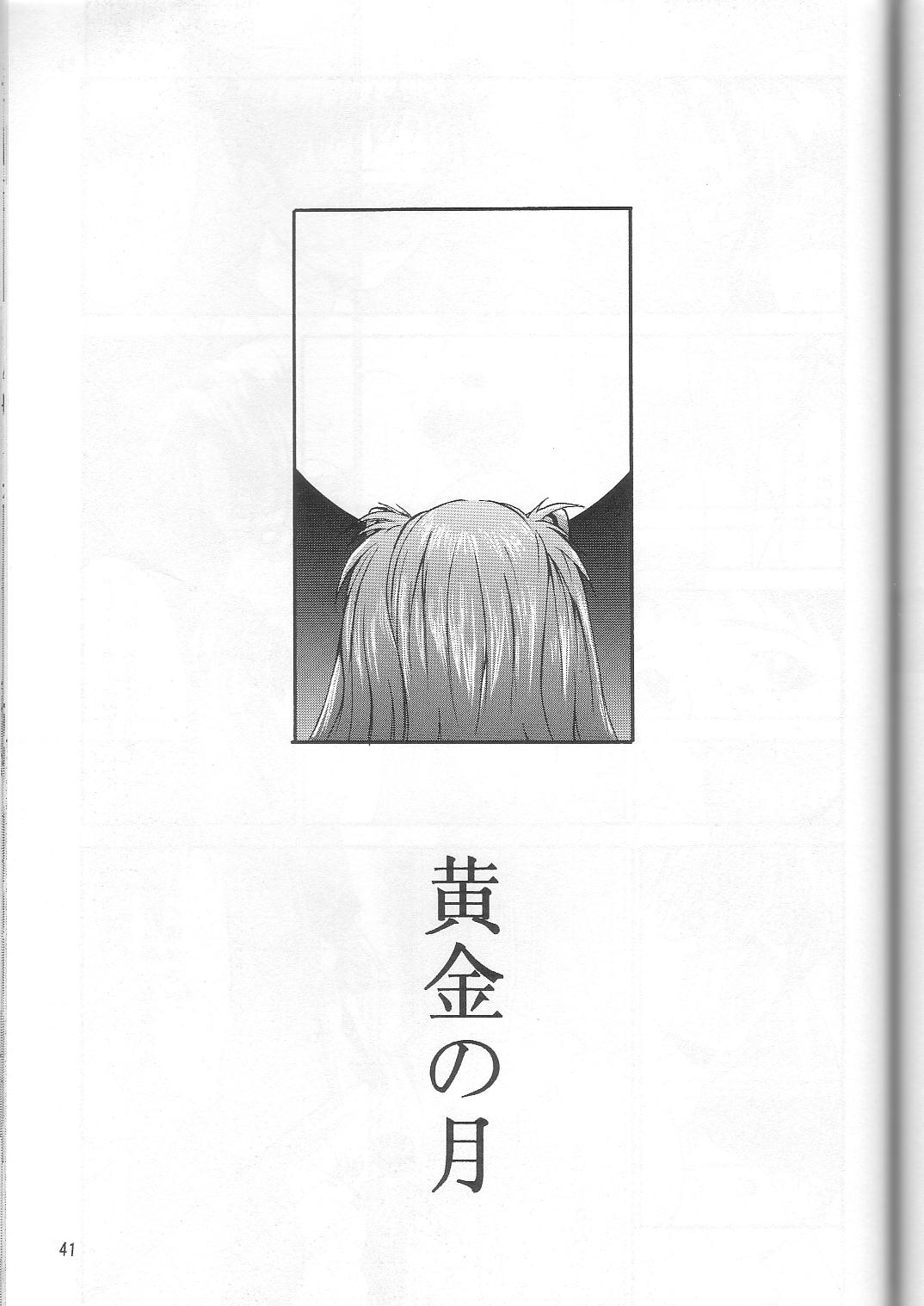 (C53) [Manga Super (Nekoi Mie)] Wonderful World (Neon Genesis Evangelion) page 40 full