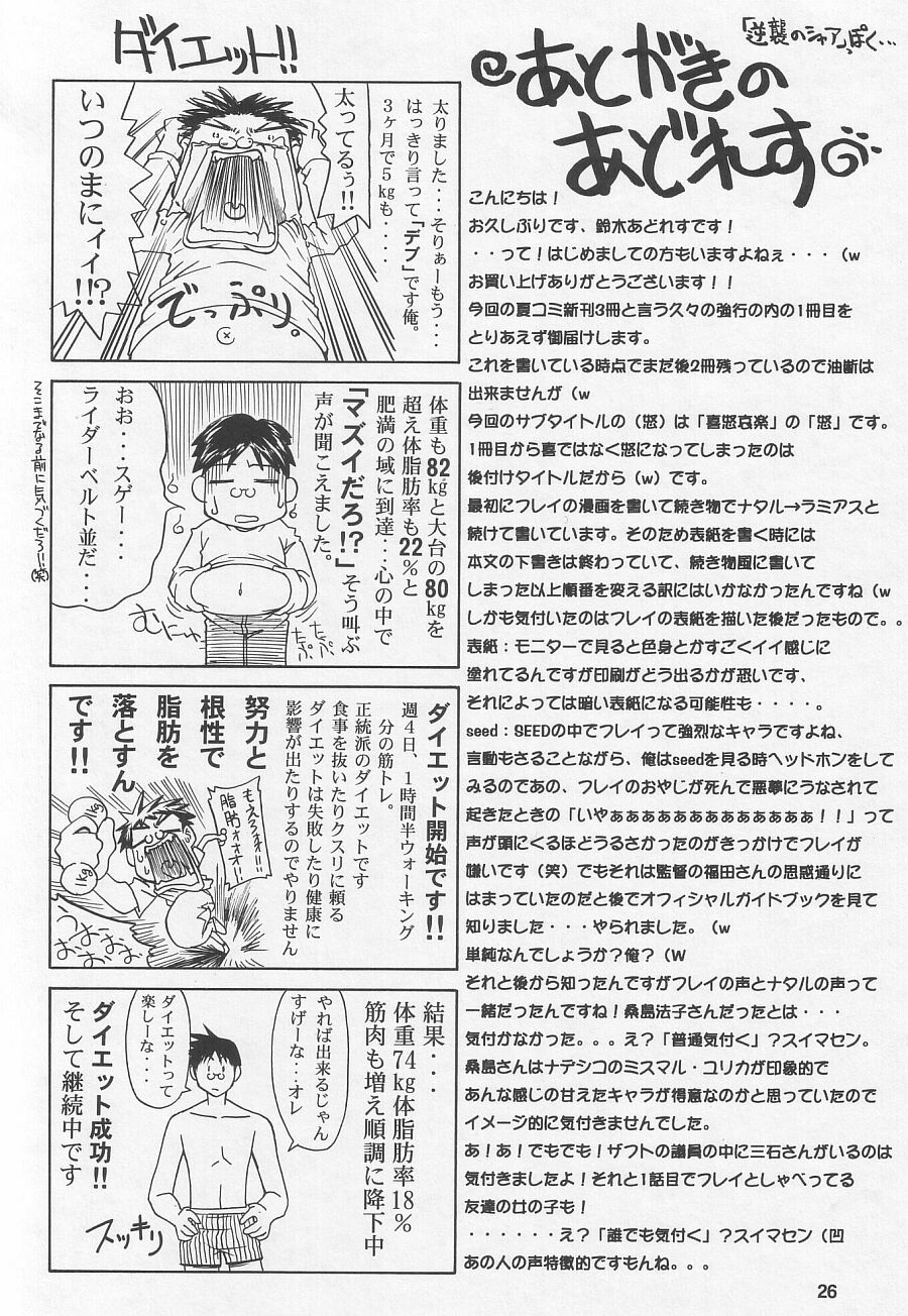 (C64) [GOLD RUSH (Suzuki Address)] Emotion (Ikari) (Gundam SEED) page 26 full