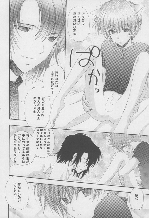 (C68) [Mutsuharu (Kagami Haruki)] Nekomimi Zouryouchuu (Gundam SEED DESTINY) [Incomplete] page 7 full