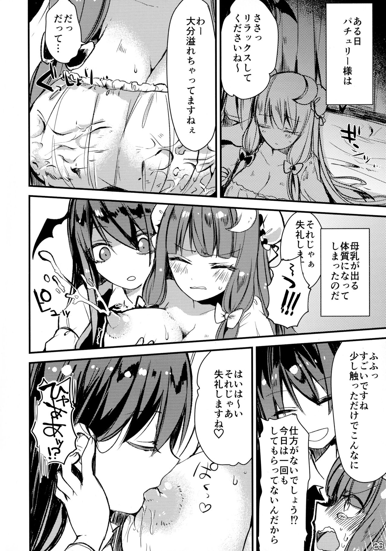 (Reitaisai 13) [Nijusei (Various)] Touhou Sakunyuu Goudoushi Demo Gensoukyou no Musume no Sakunyuu nara Chotto Mitai kamo... (Touhou Project) page 26 full