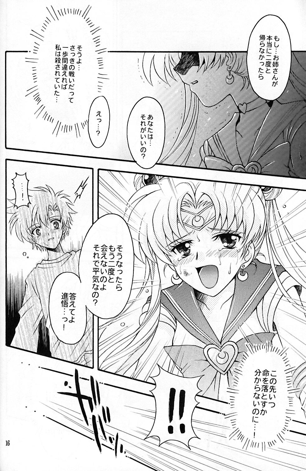 (C67) [Kotori Jimusho (Sakura Bunchou)] chanson de I'adieu (Sailor Moon) page 17 full