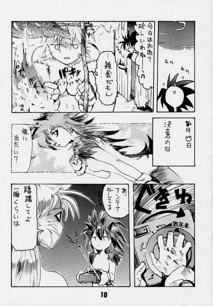 [Rikudoukan] Sonic & Tails page 9 full