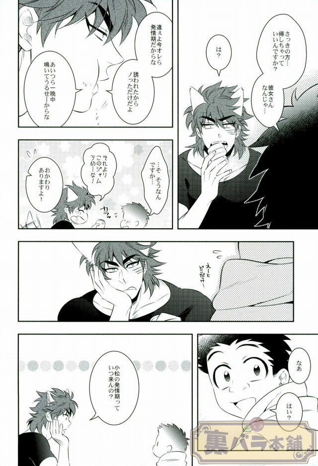 [Transgenics. (Chamame)] Koisuru Penguin (Toriko) page 13 full