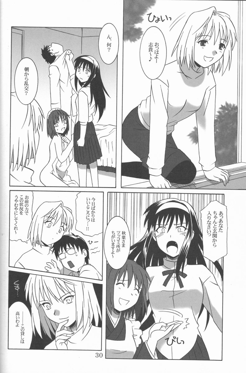 (C61) [.30-06 (Tsutsumi Akari)] Mitsugetsu (Tsukihime) page 29 full