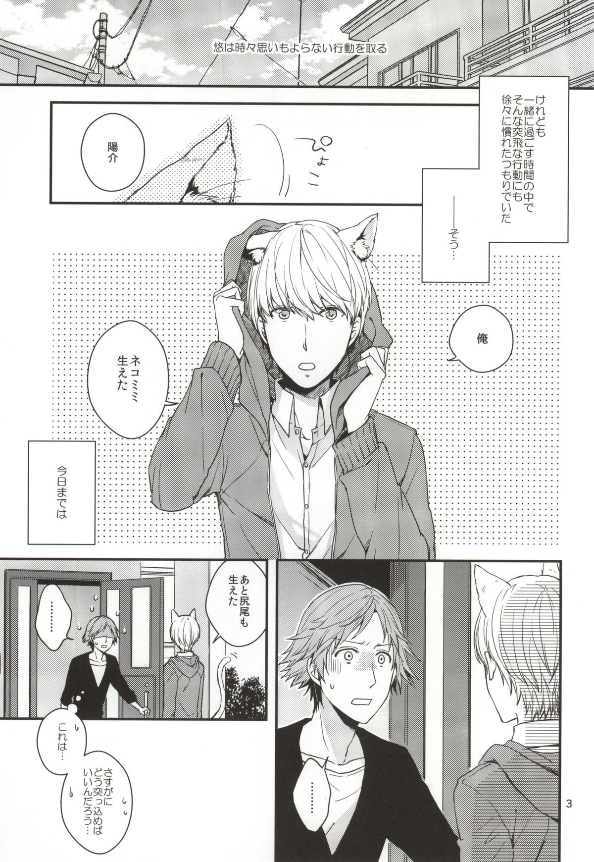 (C83) [Swallow Sky (Rihara)] CRAZY CAT LOVER (Persona 4) page 2 full