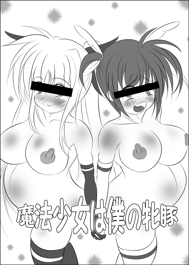 [Koori no Kamizaiku (Himuro Suzuto)] Fate Testarossa Sennou Kaizou Nisshi (Mahou Shoujo Lyrical Nanoha) [Digital] page 14 full