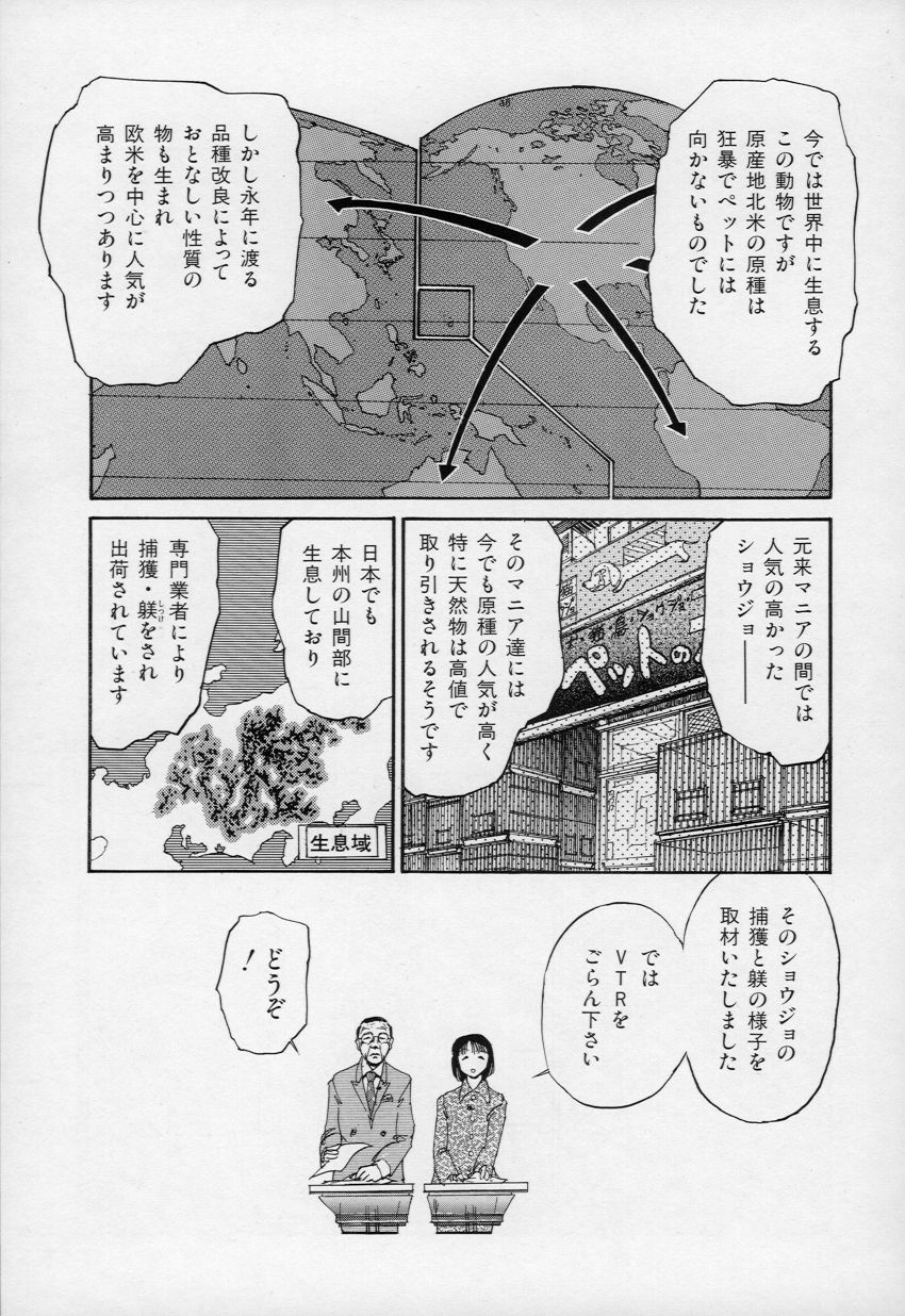 [Kumasiro Yuuji] Yawahada tenko Mori page 24 full