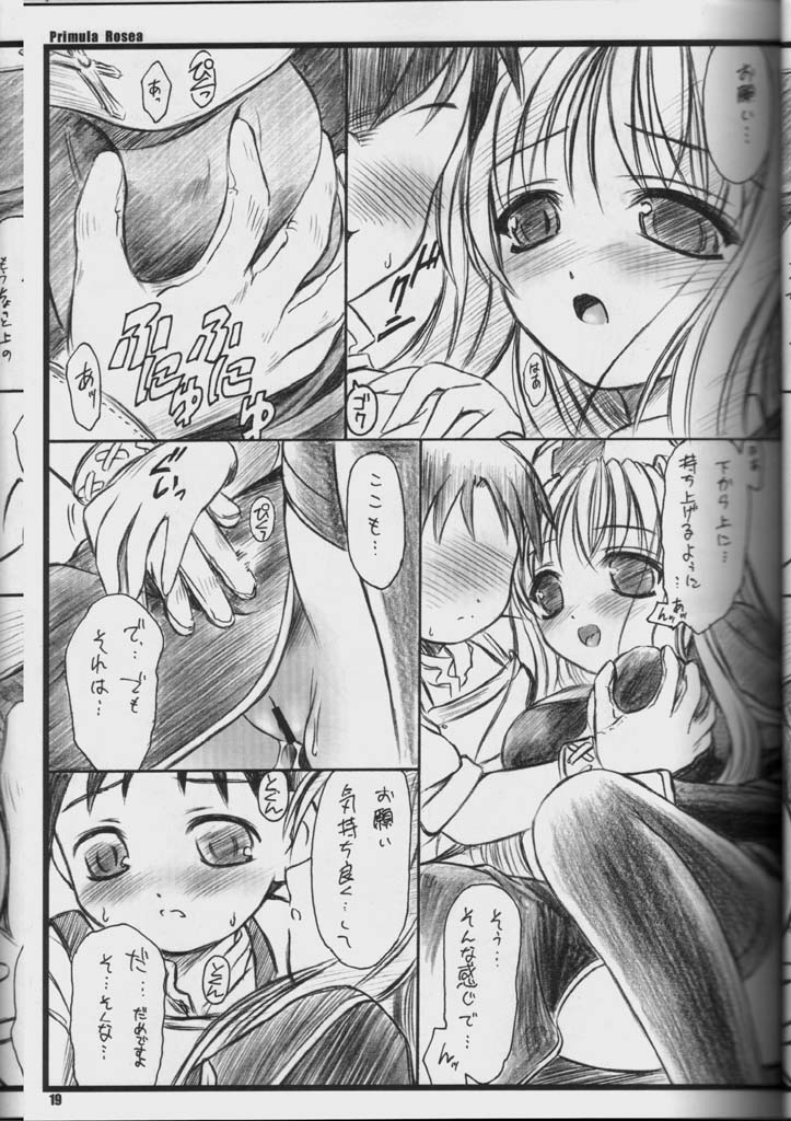 (C65) [Yakan Hikou (Inoue Tommy)] PRIMULA Rosea (Ragnarok Online) page 18 full