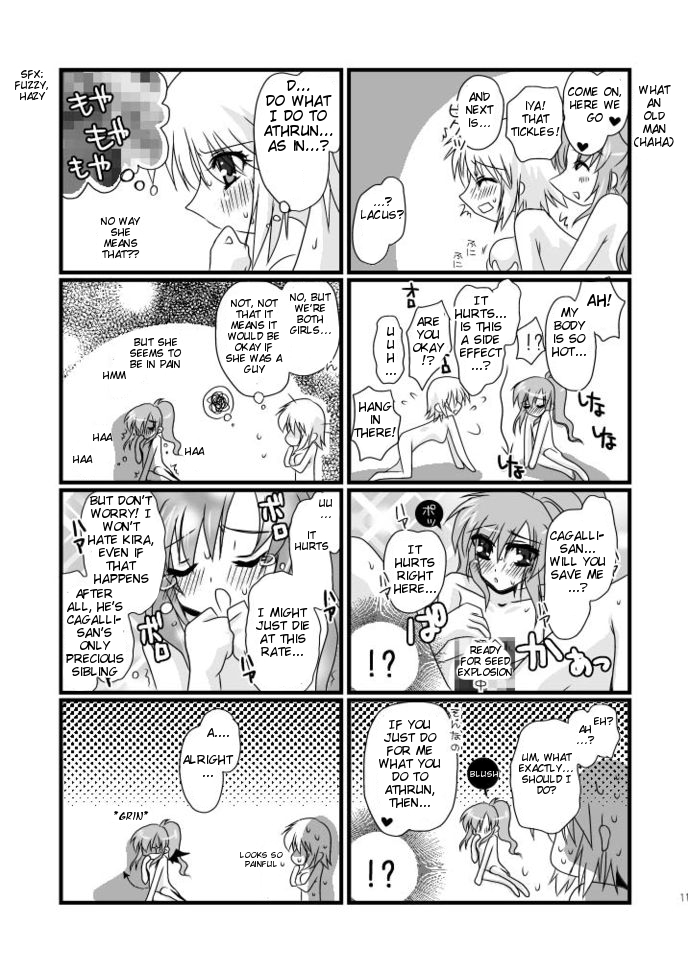 (C75) [Potosu Koubou (Chaa)] hororechuchuparero (Gundam SEED) [English] [Tigoris Translates] page 12 full