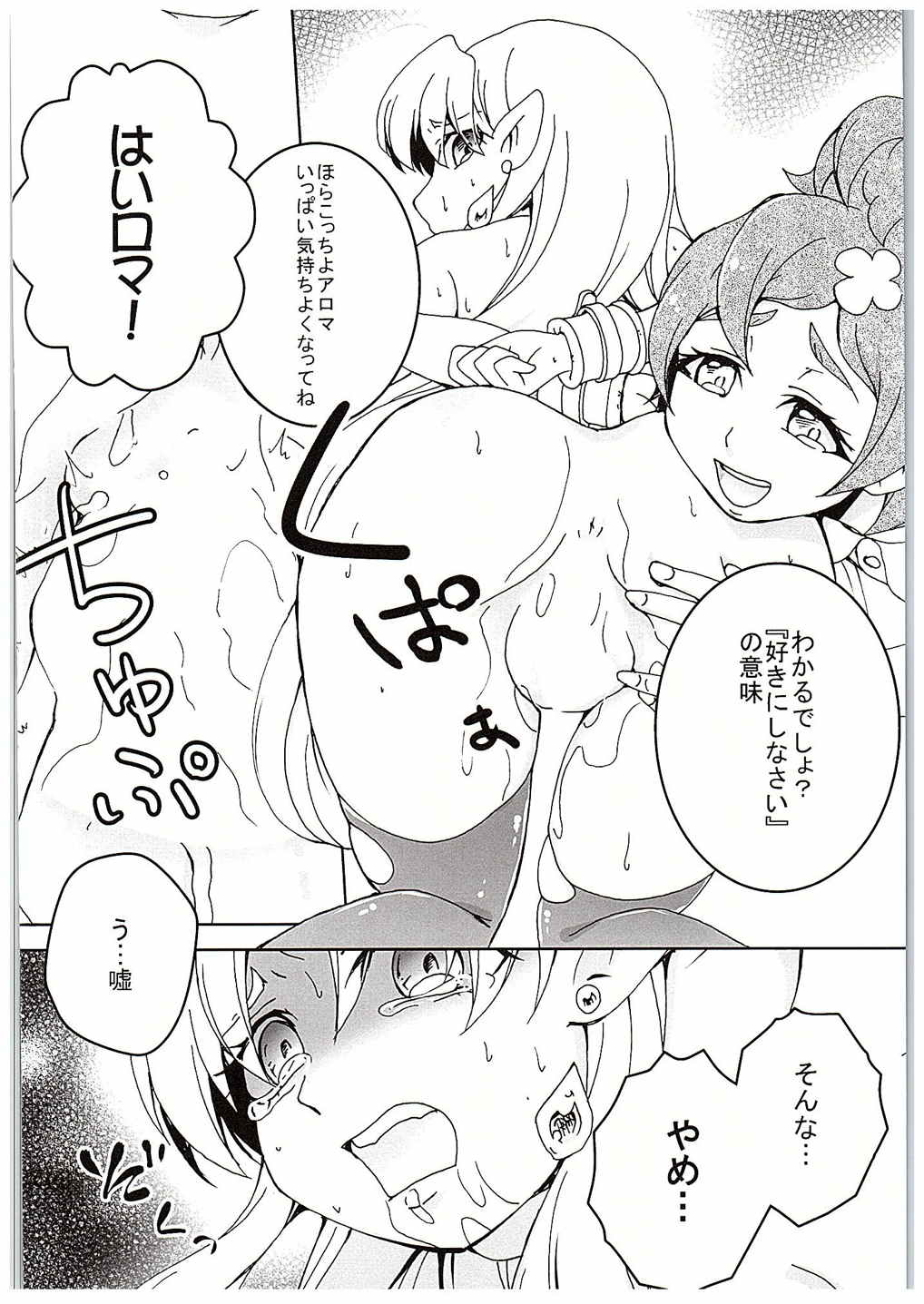 (C88) [Ai no Kura (Takahagi Kemono)] PreCure ni Horobo Sareta Oukoku no Hime (Go! Princess PreCure) page 11 full