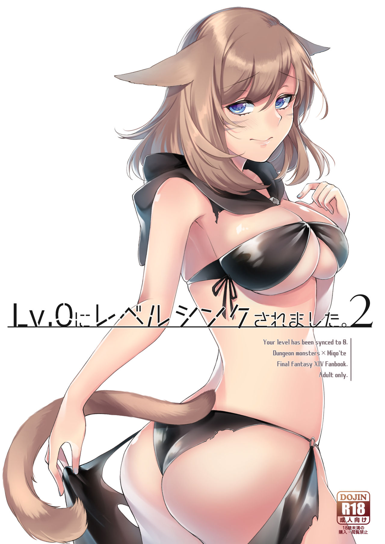 [Unidentified Flying Baumkuchen (Nanase Kokono)] Lv.0 ni Level Sync Saremashita. 2 - Your level has been synced to 0. (Final Fantasy XIV) [Digital] page 1 full