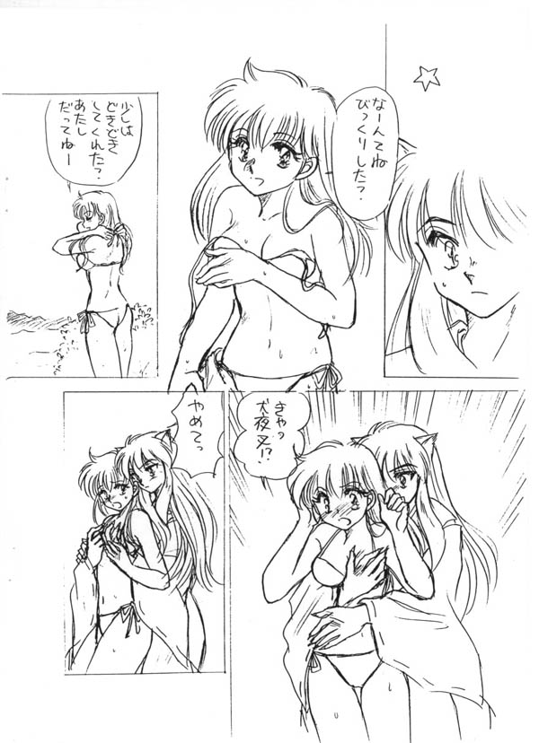 (C67) [Pink Wolf (Momomiya Anzu ,Inugami Rou)] Abunai Douyobi (Inuyasha) page 5 full