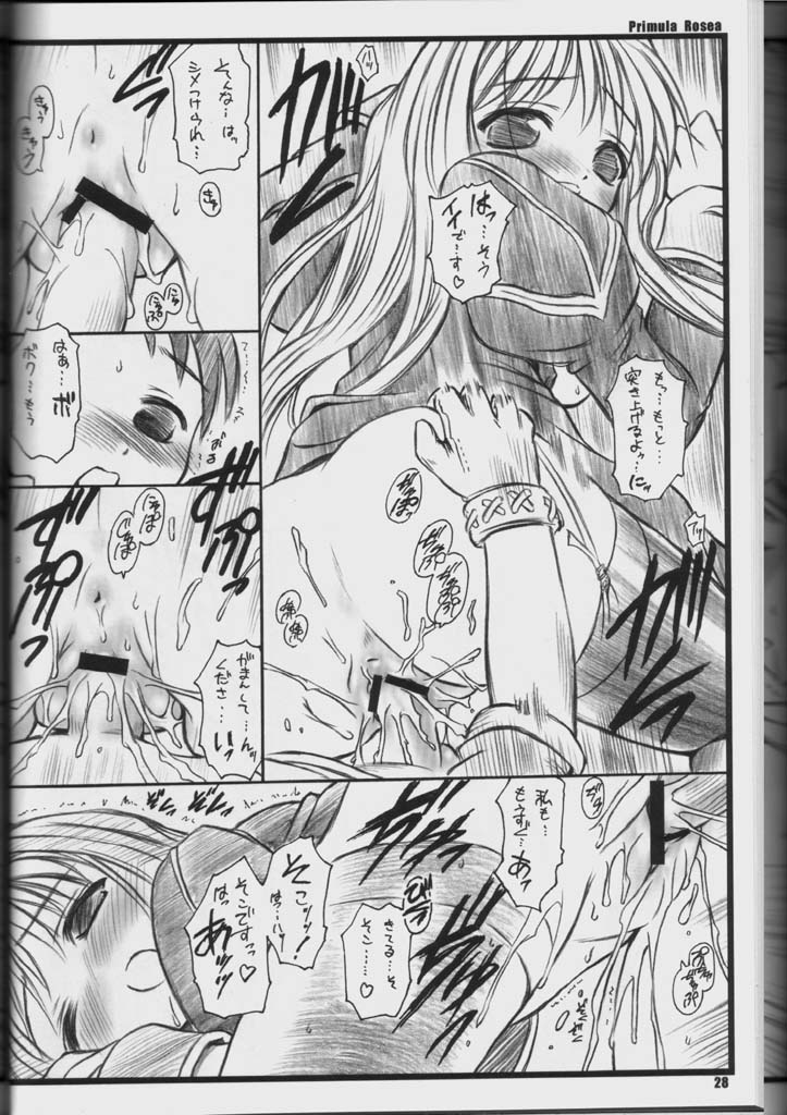 (C65) [Yakan Hikou (Inoue Tommy)] PRIMULA Rosea (Ragnarok Online) page 27 full