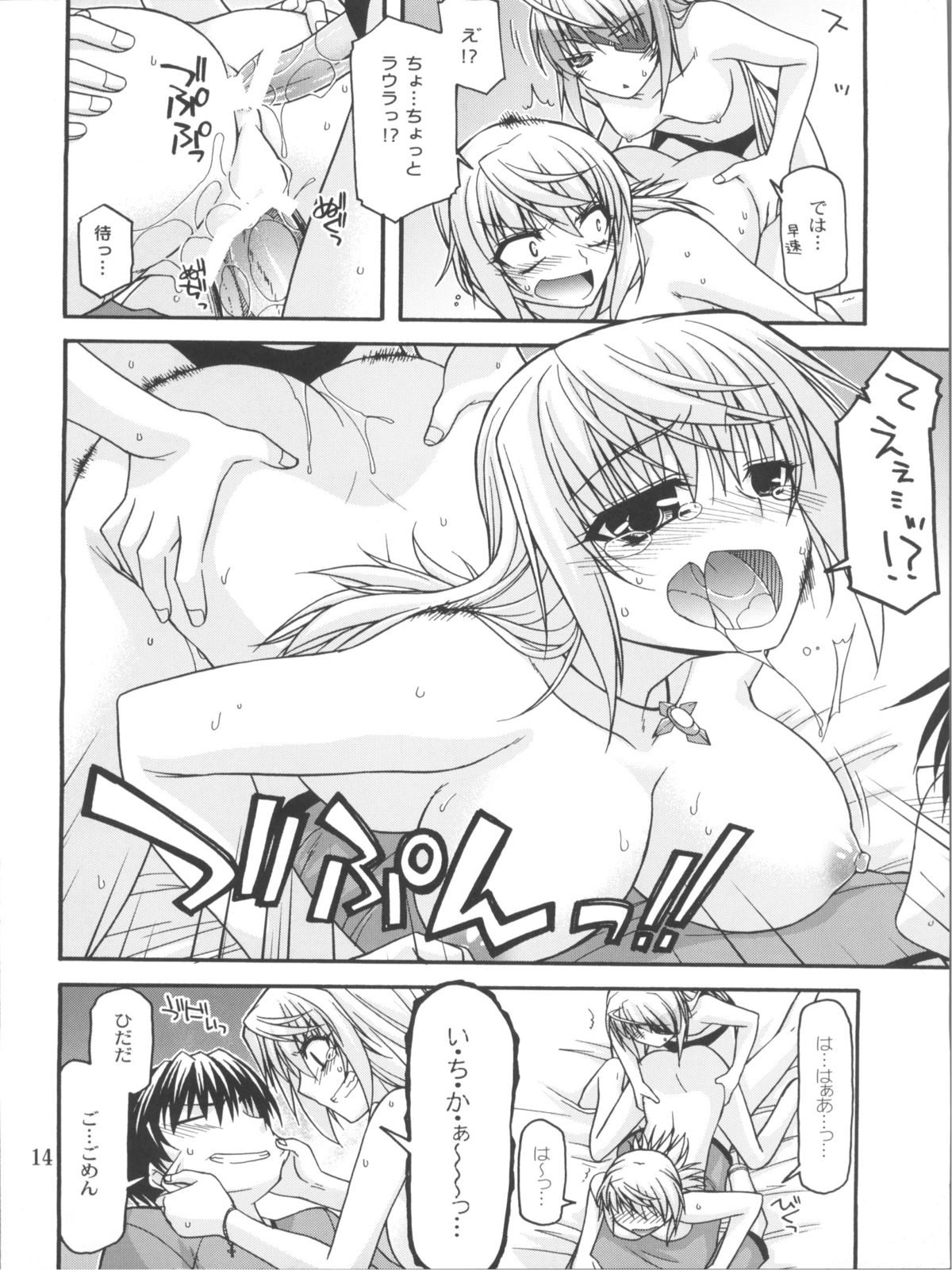 (COMIC1☆5) [CRIMSON GROUND (Miyashiro Sousuke)] Schwarzer Rafale (Infinite Stratos) page 13 full