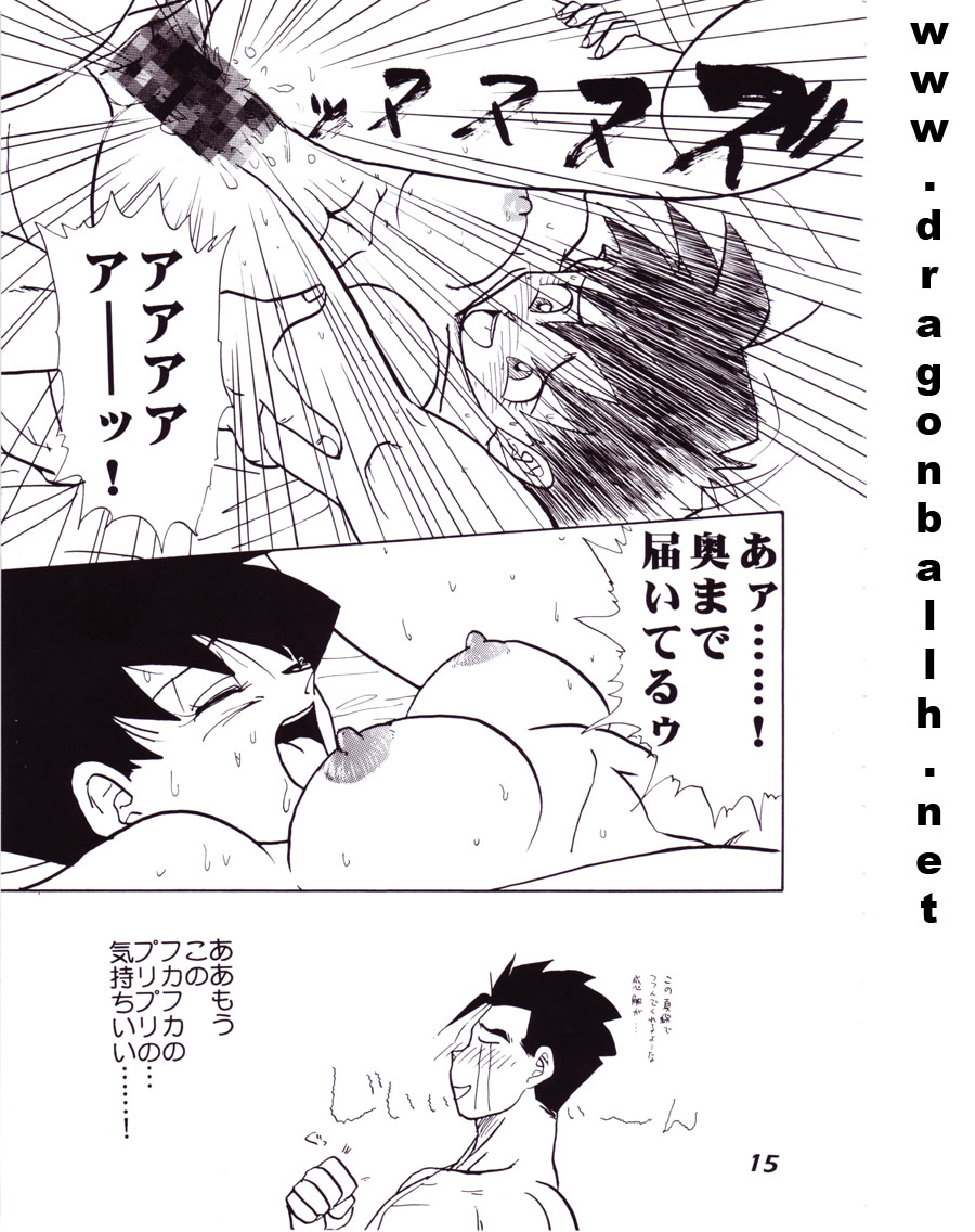 (C52) [Fusuma Goten (Shouji Hariko)] Irohani (Dragonball Z) page 15 full