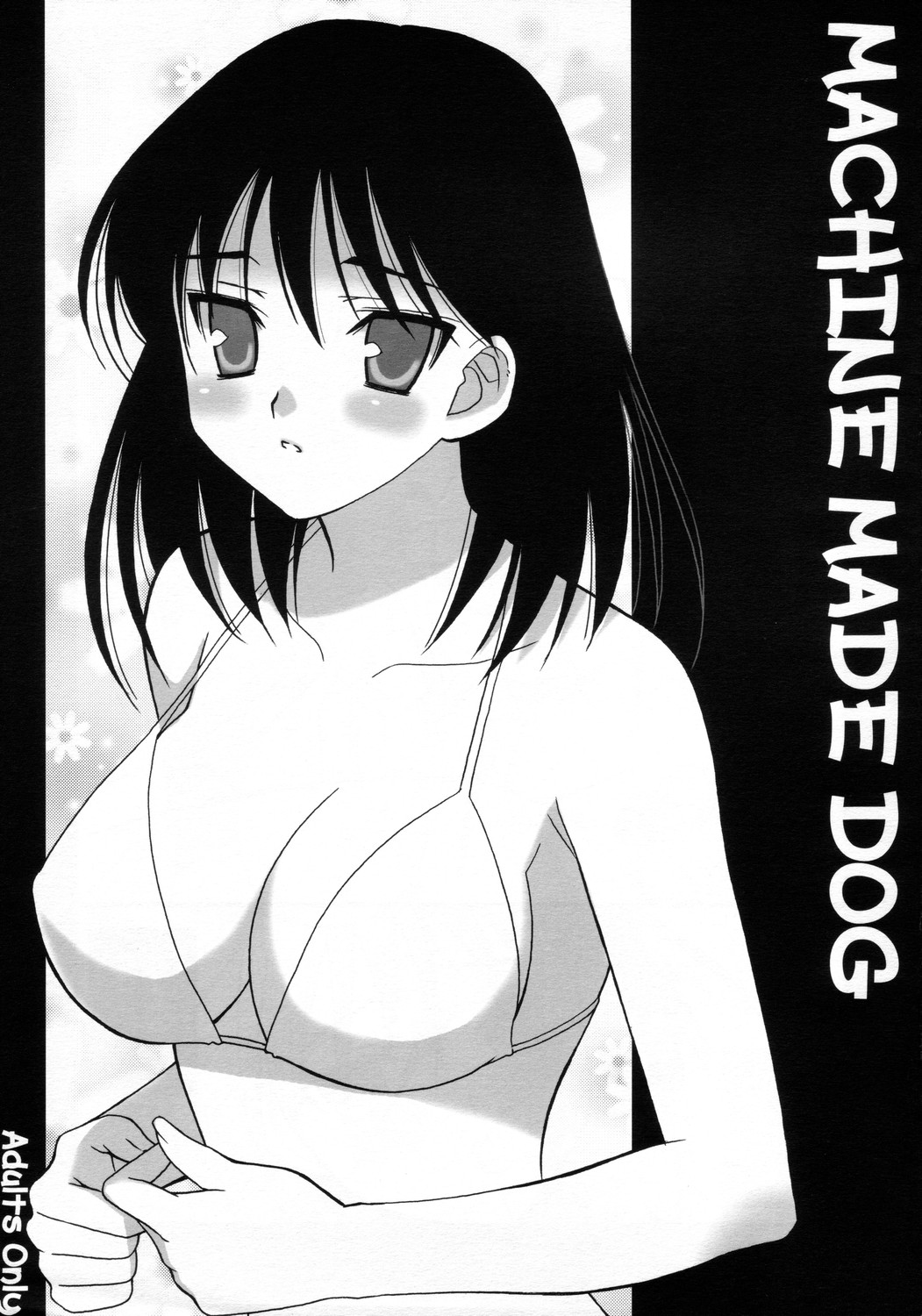 [Teruoharuo] Machine Made Dog (School Rumble) page 1 full