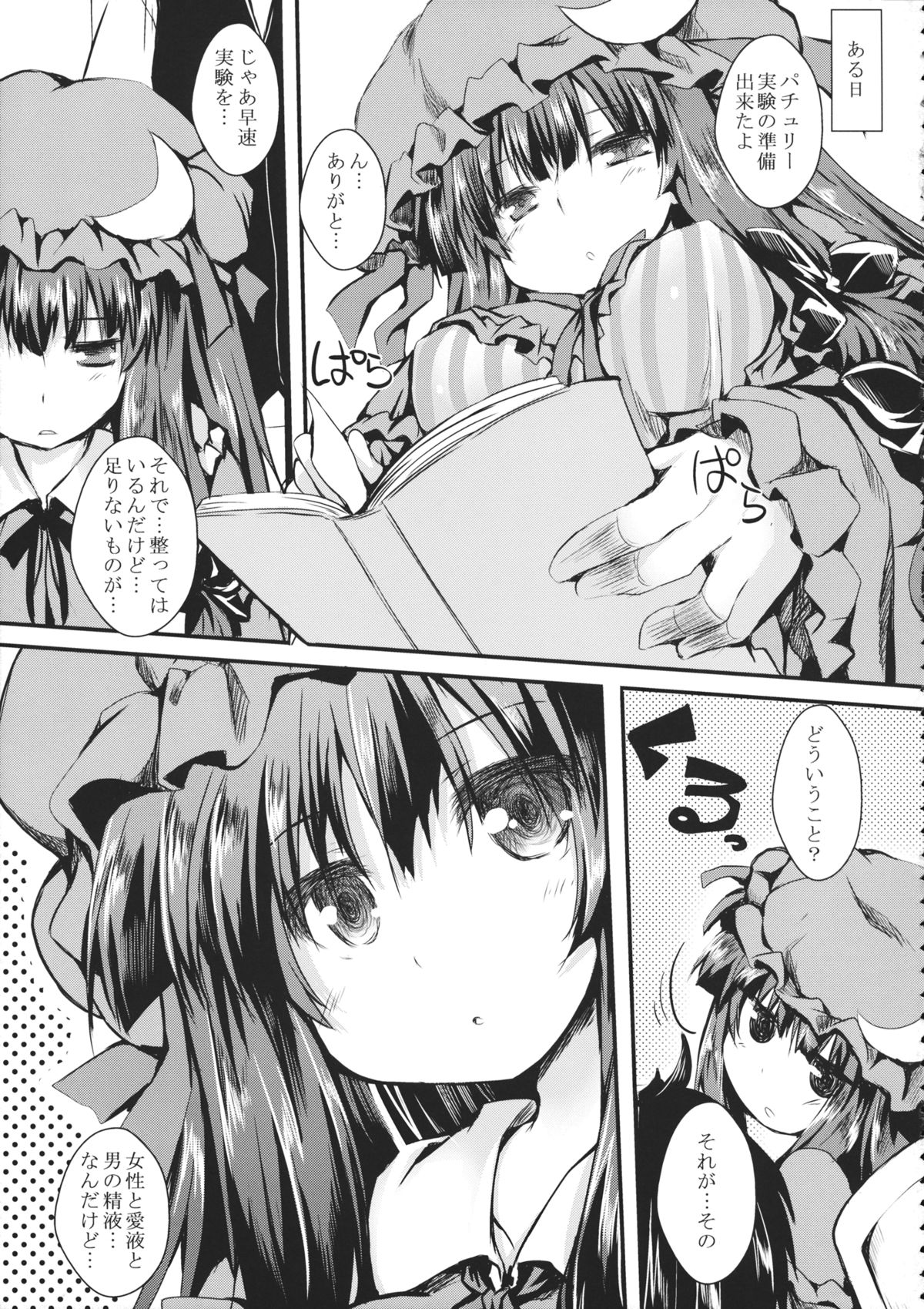 (Reitaisai 11) [Nechora Pod (Nanpuu)] Patchex (Touhou Project) page 4 full