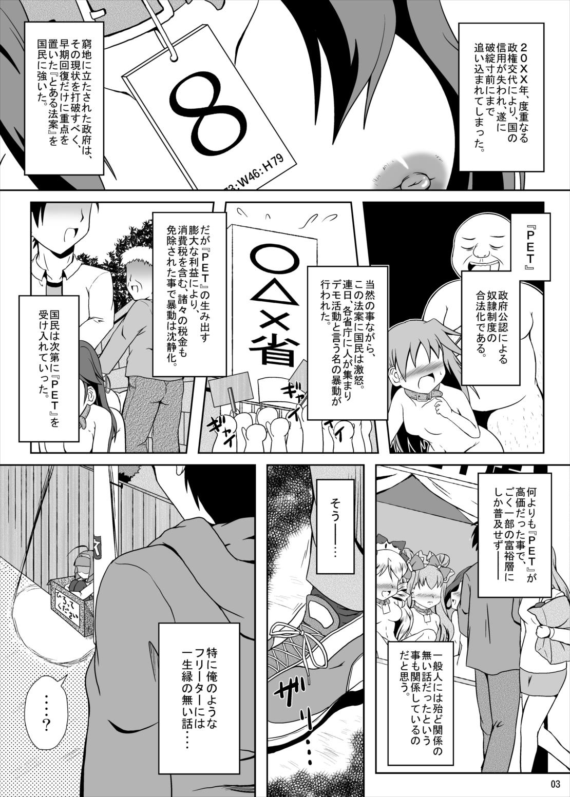 (C79) [Kamepotel (Izuki Jirou)] Freeter, Pet o kau!? (Jewelpet Twinkle) page 2 full