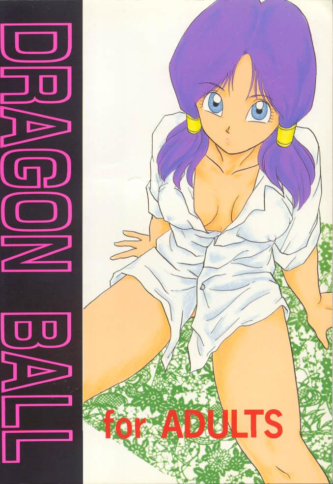 [Chirigami Goya, Fusuma go Ten (Shouji Hariko)] YYY (Dragon Ball) page 59 full