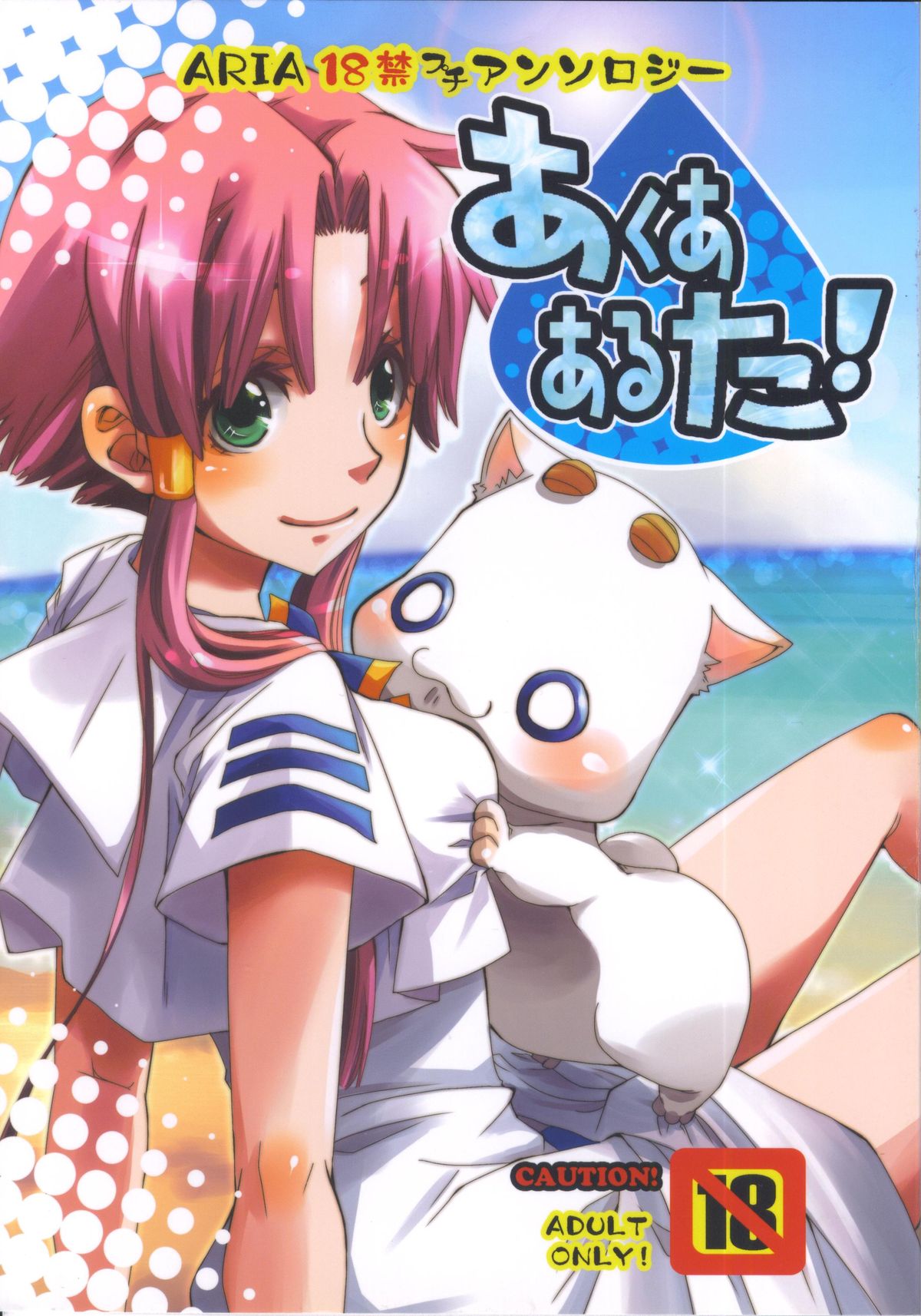(C78) [A-Anima] Aqua Alta! (ARIA) page 1 full