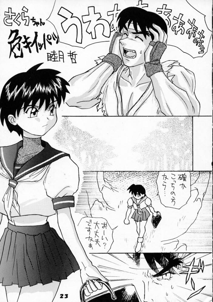 (C50) [Ginza Taimeiken] Kyousha Retsuden Sakura (Street Fighter) page 21 full