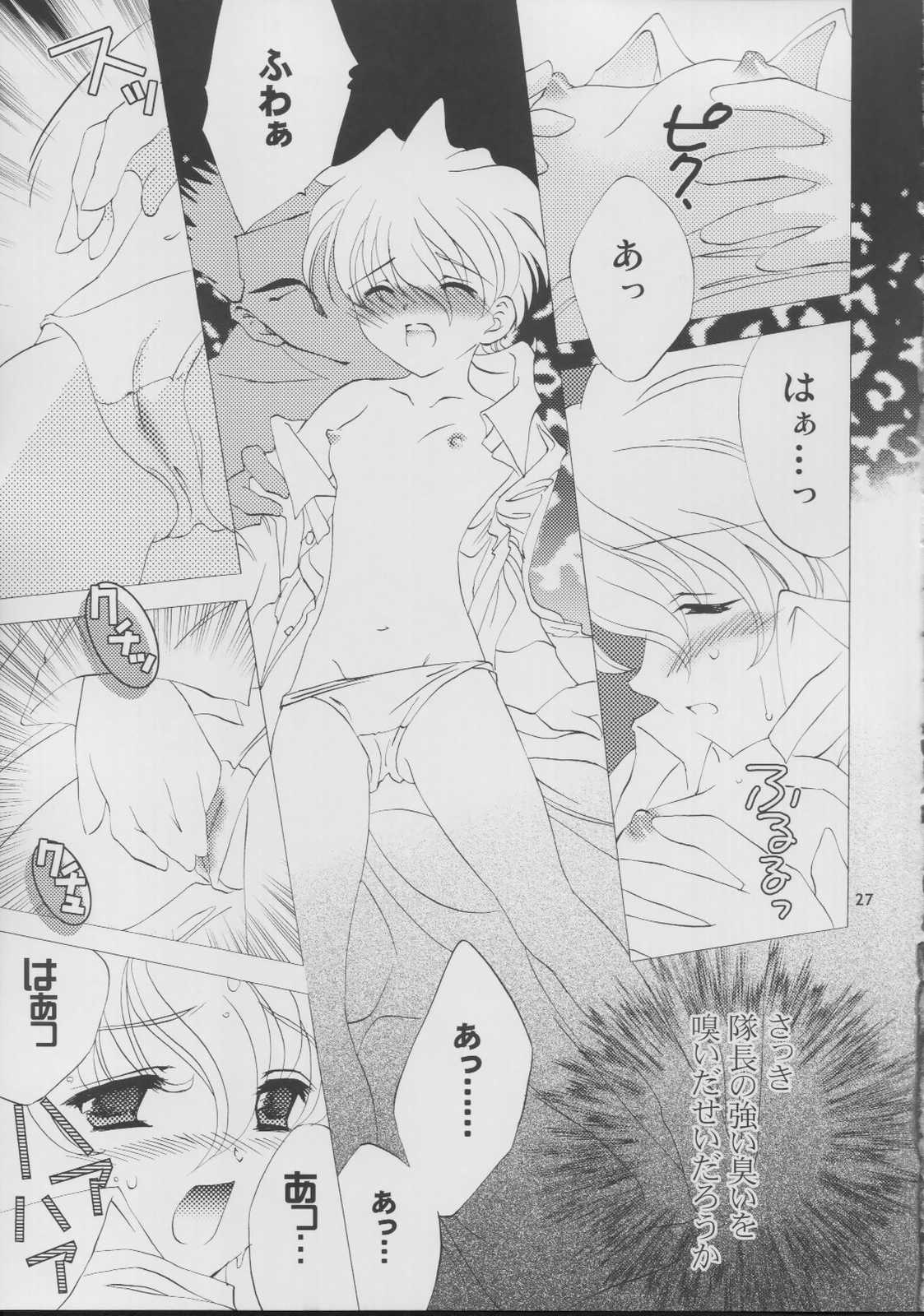 [LUNAFAIRYMIENA (Usagi)] Roman Tsukiyo (Sakura Taisen) page 27 full
