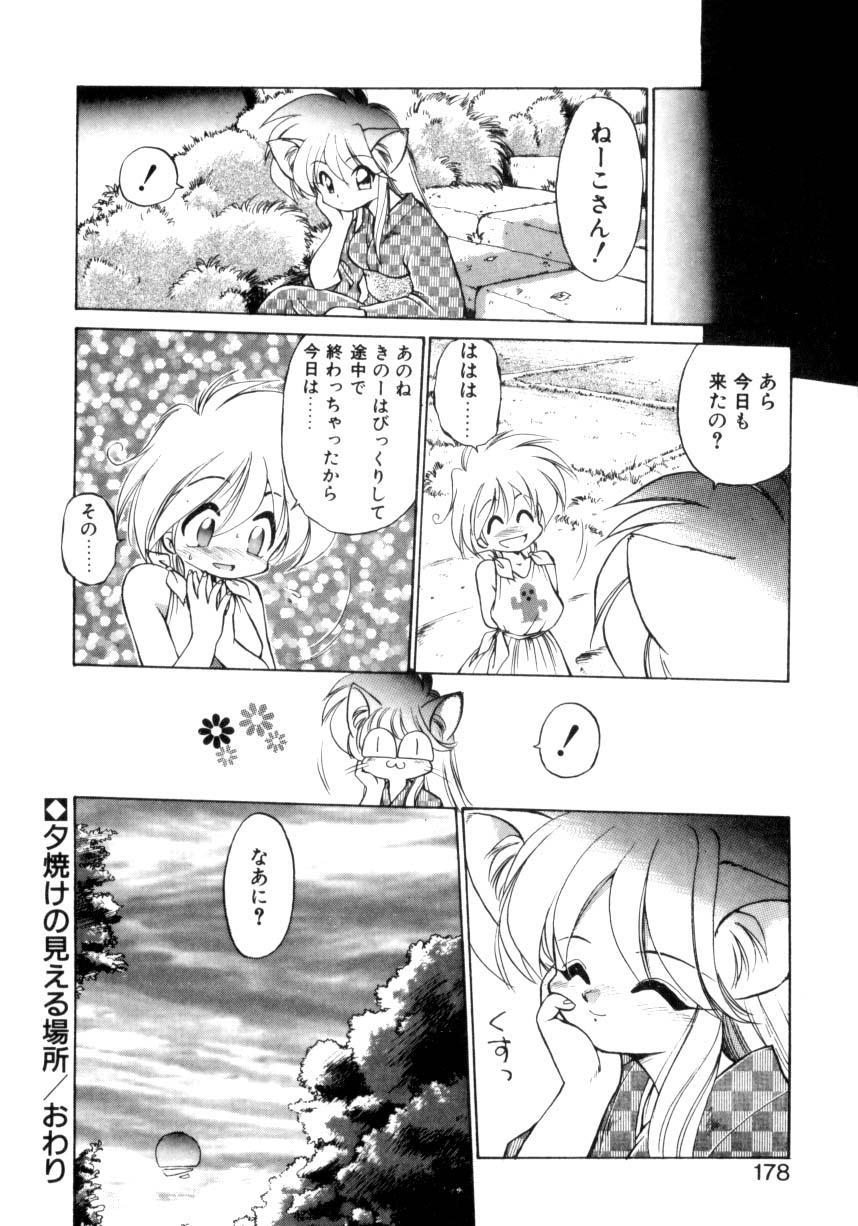 [Ebi Fly] Mainichi ga Wonderland page 173 full