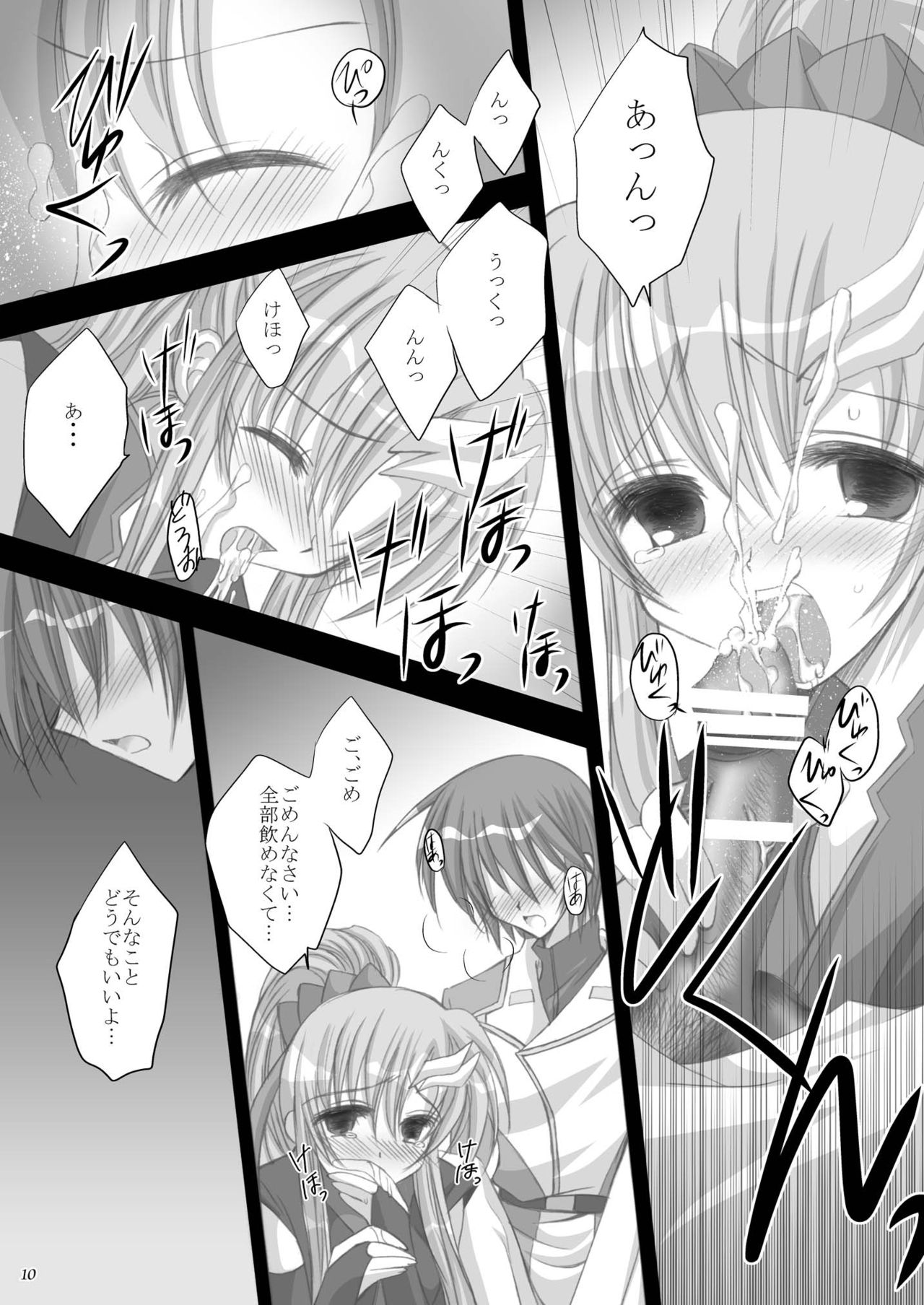 [ARC (Tamagawa Yukimaru)] Resolution (Gundam SEED DESTINY) [Digital] page 11 full