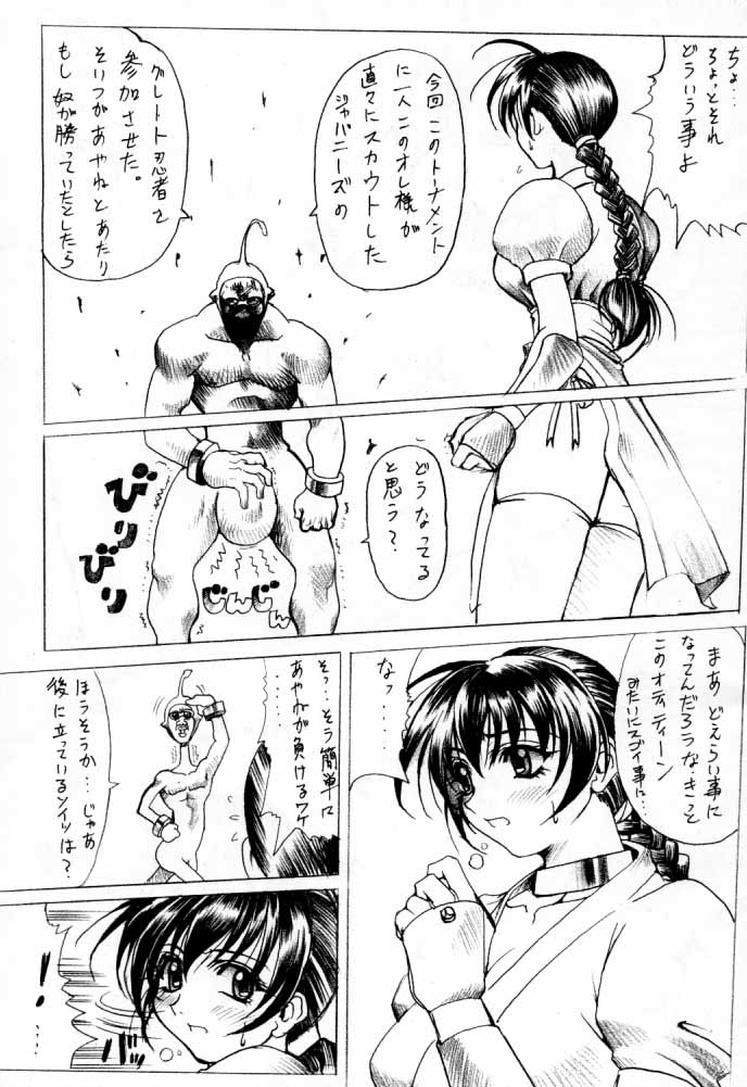 [Wolkenkratzer (Kanimiso)] Penalty Pleasant (Dead or Alive) page 8 full