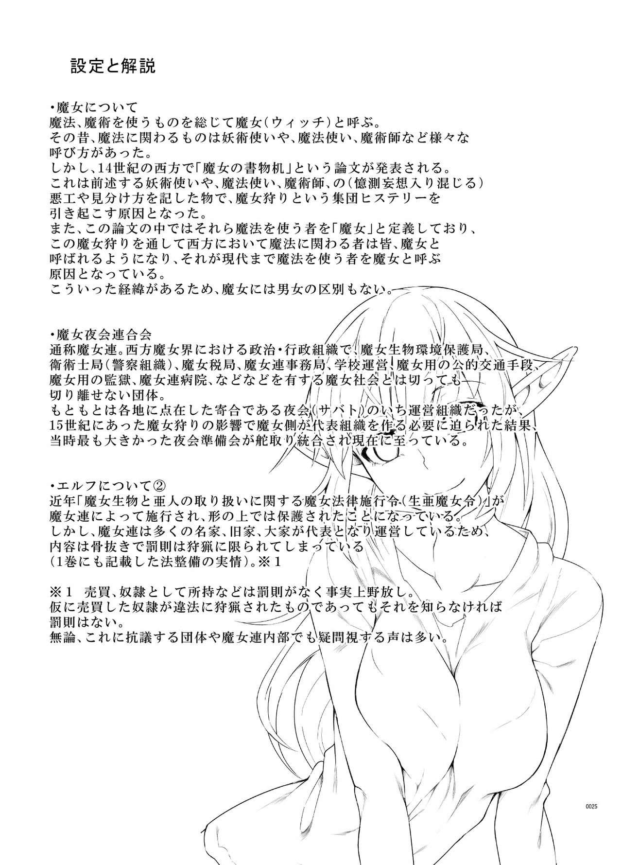 [SlapStickStrike (Stealth Changing Line)] Toaru Elf o Hikitorimashite Shunmin no Hi [Chinese] [无毒汉化组] [Digital] page 24 full