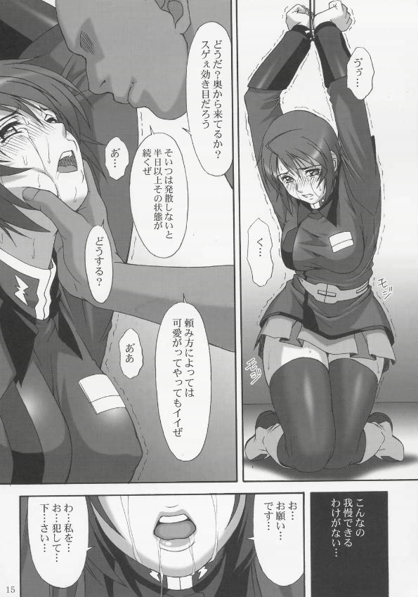 (C68) [AKKAN-Bi PROJECT (Yanagi Hirohiko)] RED BRAVO (Mobile Suit Gundam Seed Destiny) page 14 full