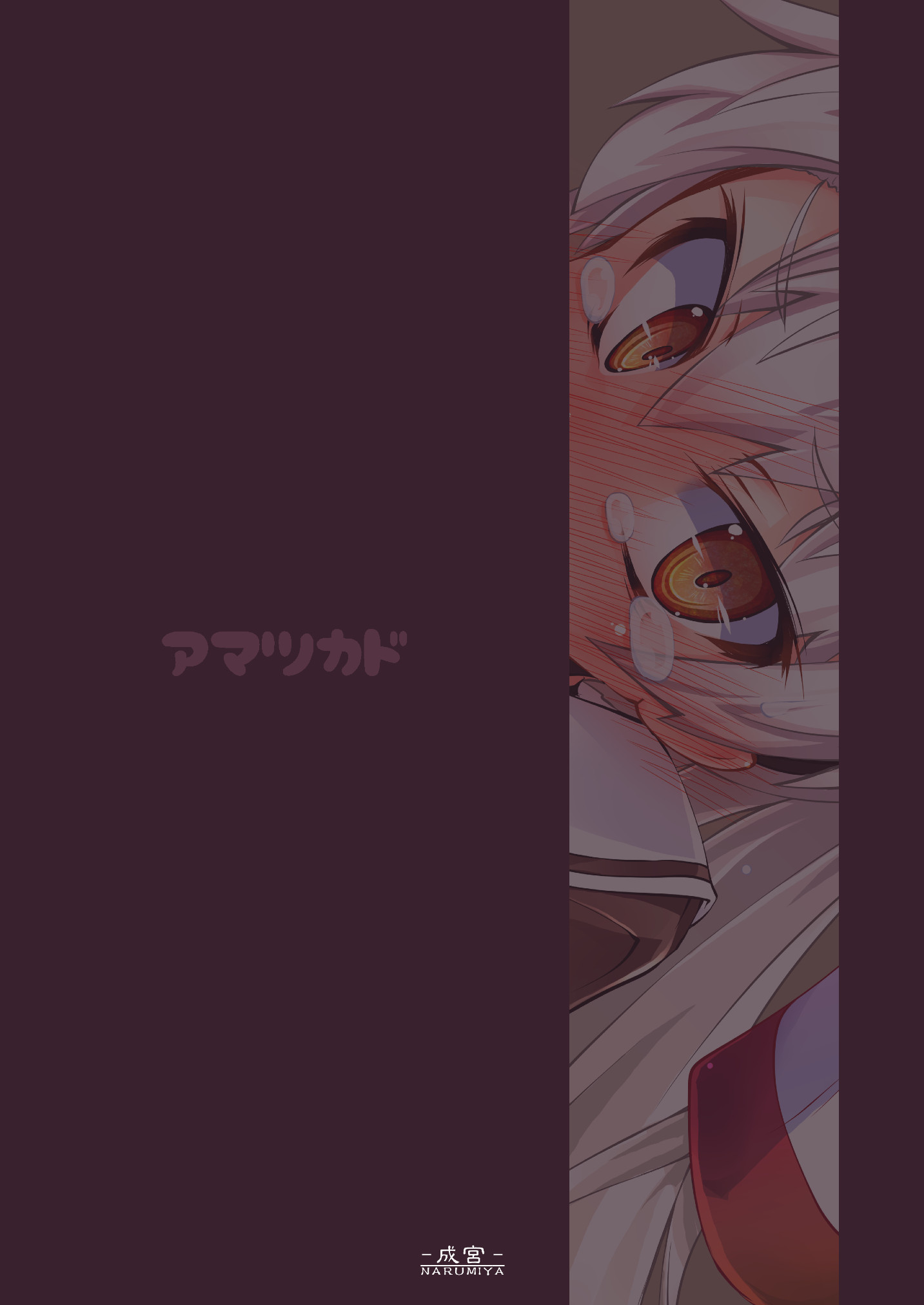 [Narumiya (Narumiya)] Amatsu Kado (Kantai Collection -KanColle-) [Digital] page 18 full