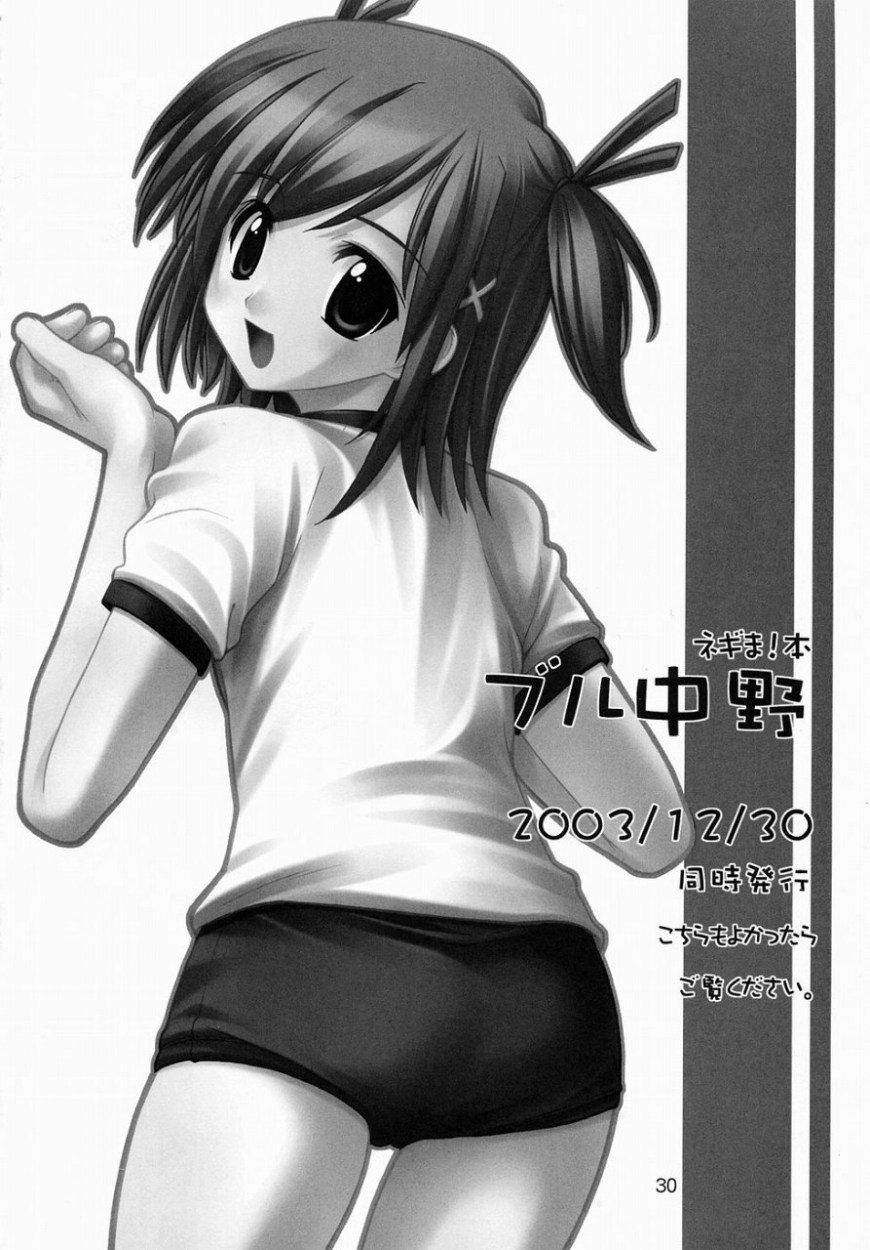 (C65) [Ugeman (Ugeppa, Aiyama Toshikazu, RT.)] Nerima (Fullmetal Alchemist) page 29 full