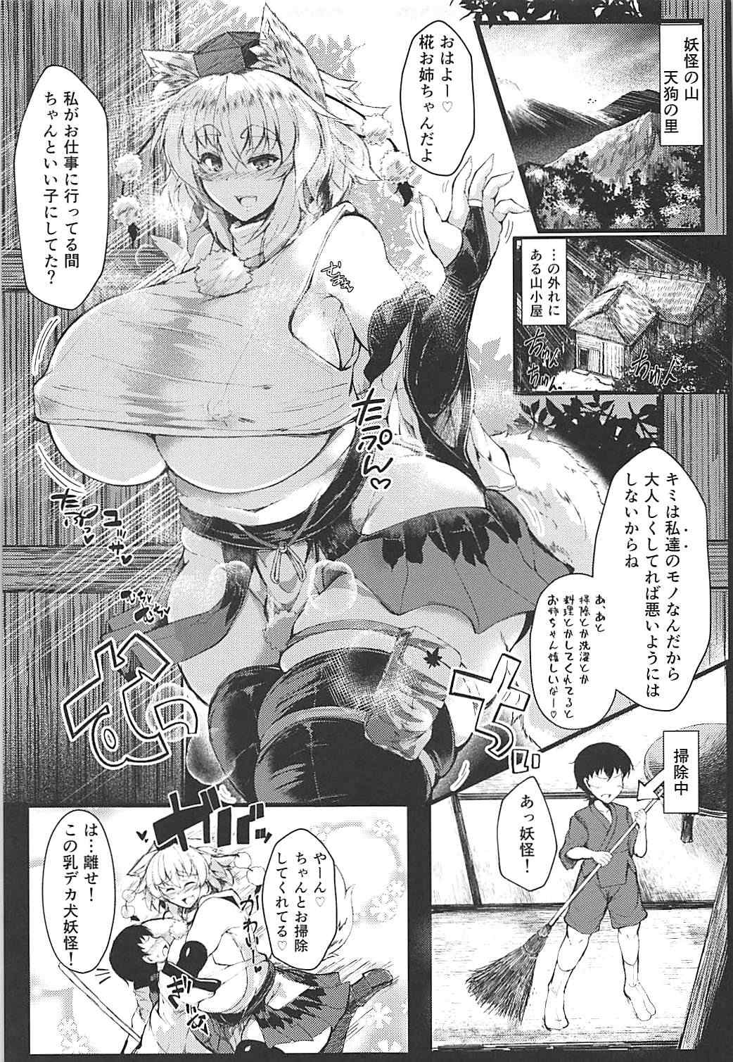 [Gintama (Ginzake, Minase Tamaki)] Nukinuki Tengu no Onee-chan (Touhou Project) [2017-11-08] page 3 full