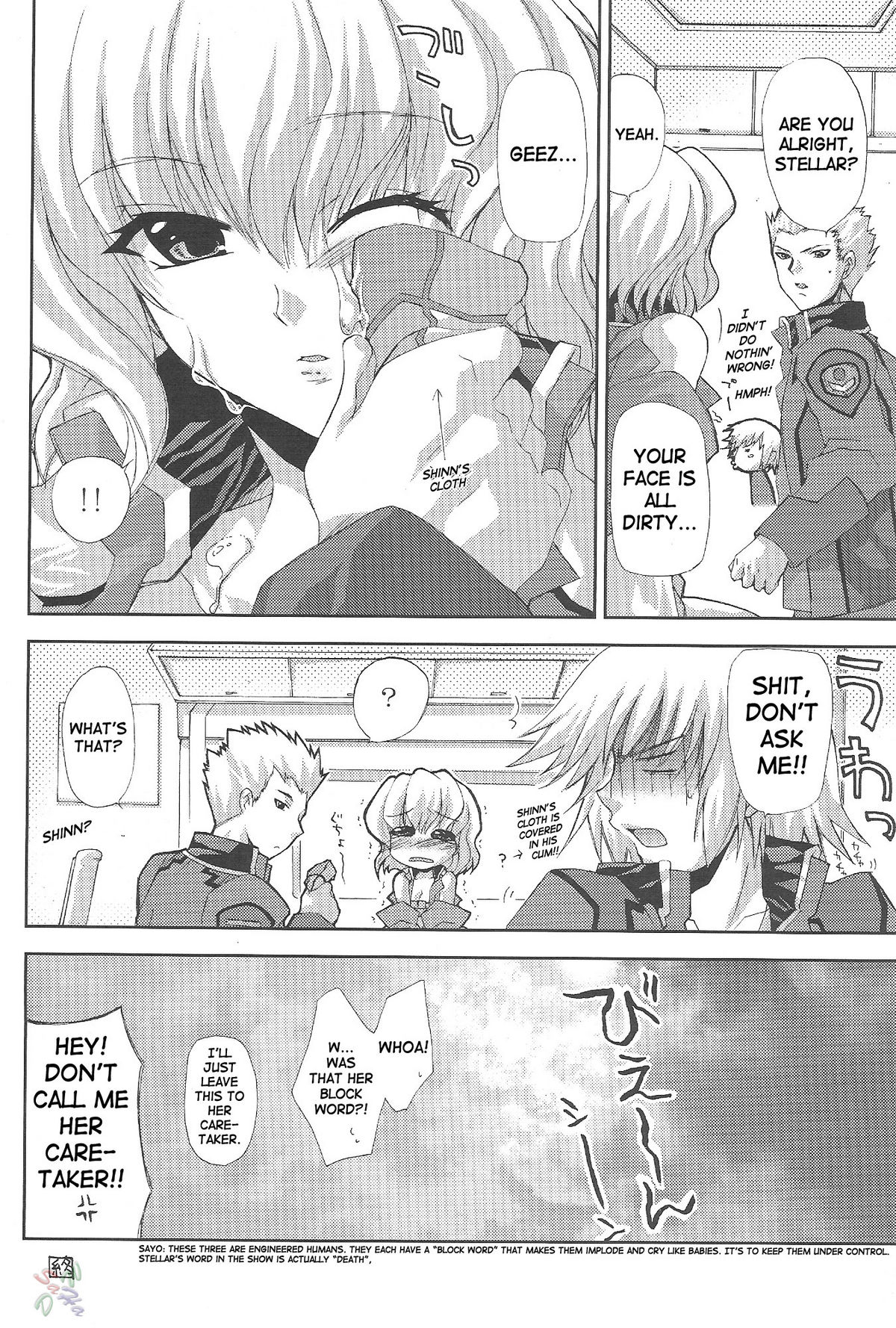 [FANTASY WIND] L-S (Kidou Senshi Gundam Seed Destiny) [English] page 13 full