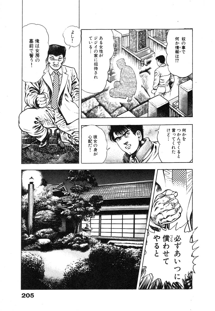 [Maeda Toshio] Ryakudatsu Toshi 1 page 210 full