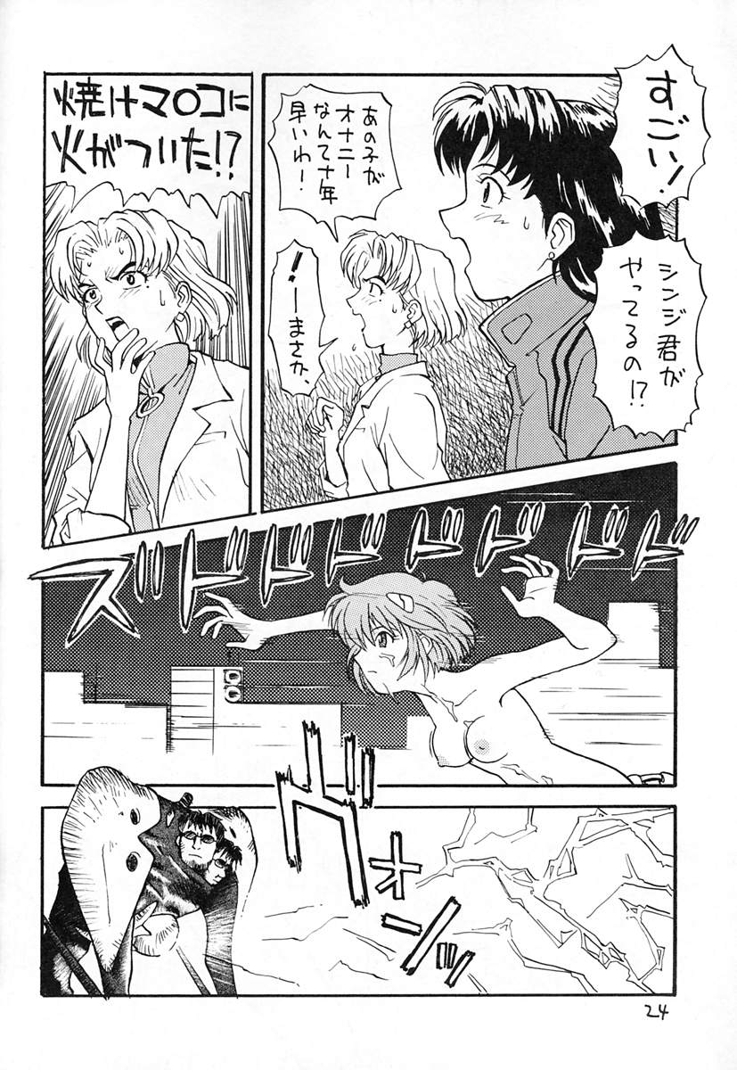 (C49) [Housoutou (TAGRO)] Ayanami (Neon Genesis Evangelion) page 23 full