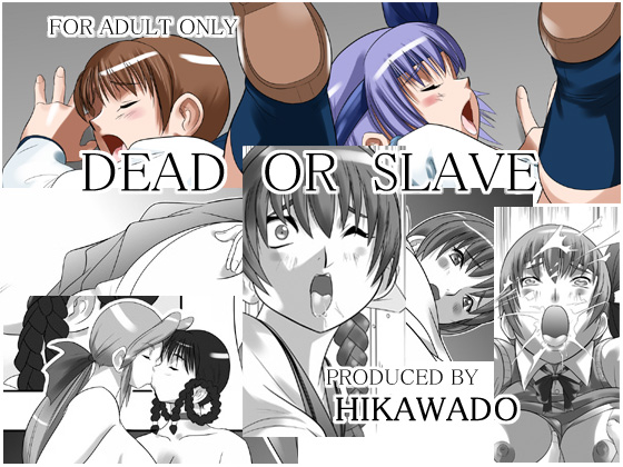 [Hikawadou (Hinokawa Jun)] Dead or Slave (Dead or Alive) page 1 full